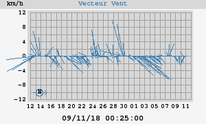 Wind Vector