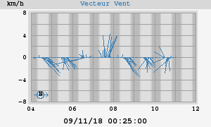 Wind Vector