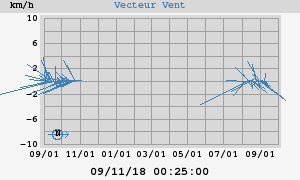 Wind Vector